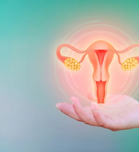 صورة باقة تحاليل المبايض - تقييم شامل لصحة المبايض والهرمونات الأنثوية