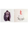 صورة سلسلة حروف وكلمات ( ٢٨ قصة حجم صغير )
