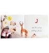 صورة سلسلة حروف وكلمات ( ٢٨ قصة حجم صغير )