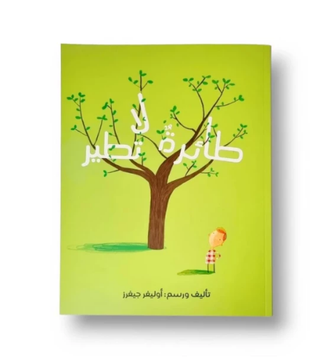 صورة طائرة لا تطير
