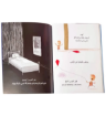 صورة طائرة لا تطير