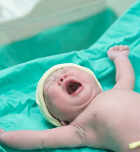 صورة برنامج الولادة القيصرية المتكررة (غرفة مزدوجة)